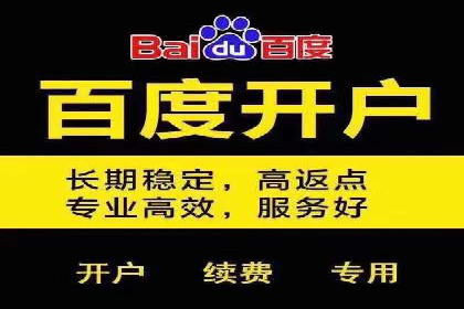 提升网站流量与转化率的关键——关键词竞价排名案例